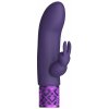 Vibrátor Royal Gems Dazzling Rechargeable Silicone Bullet rabbit