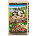 Forestina Substrát pro rajčata papriky a okurky 40 l – Zboží Dáma