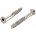 Šrouby do dřeva WT WINTECH a.s. 1 x 1 mm 1 ks – Hledejceny.cz