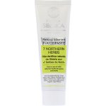 Natura Siberica Natural Siberian 7 Northern Herbs proti krvácení dásní 100 g – Hledejceny.cz
