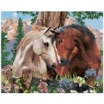 Norimpex Diamantové malování Koňské souznění 30 x 40 cm – Sleviste.cz
