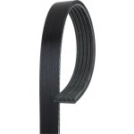 ozubený klínový řemen GATES 5PK1815