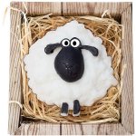 Bohemia Natur Ovečka ručně vyráběné mýdlo v krabičce 50 g – Zboží Dáma