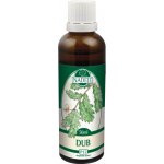 Naděje Dub bylinná tinktura z pupenů rostliny 50 ml – Hledejceny.cz