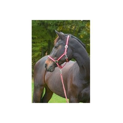 HIPPO Covalliero Ohlávka Červená – Zboží Dáma