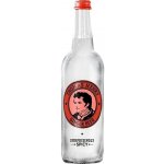 Thomas Henry Ginger Beer 0,75 l – Zbozi.Blesk.cz