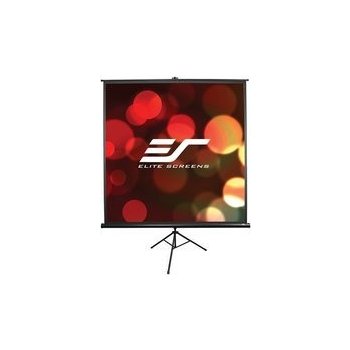 Elite Screens T120UWH