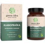 Green idea Kustovnice čínská bylinný extrakt 60 tablet – Hledejceny.cz