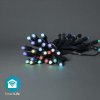 Vánoční osvětlení NEDIS Wi-Fi chytré dekorativní LED WIFILP01C48
