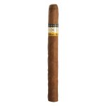 Cohiba Exquisitos 1 ks – Zboží Dáma