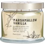 Partylite mango 375 g – Zbozi.Blesk.cz