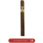 Cohiba Siglo III Tubos – Zboží Mobilmania