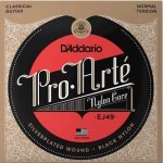 D'addario EJ49 – Sleviste.cz