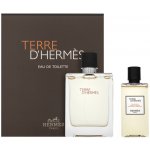 Hermes Terre D Hermes EDT pro muže 100 ml + sprchový gel 80 ml dárková sada – Hledejceny.cz