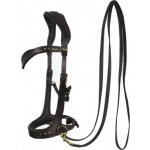 F.R.A. Uzdečka bezudidlová Sidepull Glory hnědá – Sleviste.cz