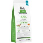 Brit Care Grain-free Adult Large Breed Salmon 12 kg – Zboží Dáma