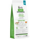 Brit Care Grain-free Adult Large Breed Salmon 12 kg – Hledejceny.cz