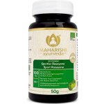 Maharishi Ayurveda BIO Sport Rasayana 100 tablet – Hledejceny.cz