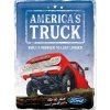 Obraz Postershop Plechová cedule: Ford (America's Truck F100) - 30x40 cm
