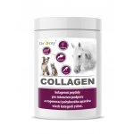 Dromy Collagen 0,9 kg – Zboží Dáma