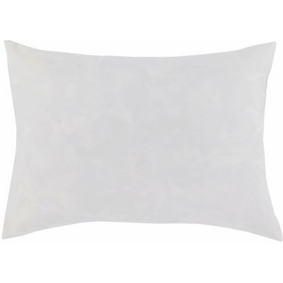 Chic Antique Péřová výplň polštáře krémová 52x37 – Hledejceny.cz