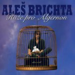 Brichta Aleš - Růže pro Algernon (Remastered 2026) 2 LP – Hledejceny.cz