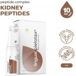 Garmonia Pielotax lingual peptidový komplex 10 ml – Hledejceny.cz