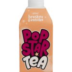 Popstar Tea broskev a vanilka 0,5 l – Hledejceny.cz