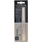 L'Oréal Paris Telescopic Clean Definition řasenka Black 8 ml – Zboží Dáma