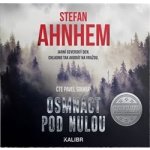 Osmnáct pod nulou - Stefan Ahnhem – Hledejceny.cz