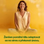 Walmark Ženšen korejský 30 kapslí – Hledejceny.cz