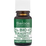 Saloos Bio Eukalyptus Radiata 10 ml – Hledejceny.cz