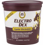 Electro Dex Elektrolyt 2,27 kg – Zboží Dáma