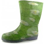 Demar Rainny kopretina – Zboží Dáma