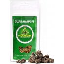 Doplněk stravy GuaranaPlus + Vilkakora 100 kapslí
