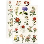 Galeria Papieru Dekor. samolepky - Letní květiny, 4 archy, 54 kusů – Hledejceny.cz