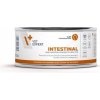 VetExpert VD 4T Intestinal Cat 100 g