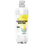 Inkospor L-Carnitin water 0,5 l – Hledejceny.cz