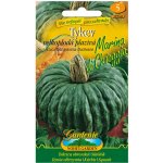 Tykev velkoplodá plazivá MARINA DI CHIOGGIA Nohel Garden – Zboží Dáma