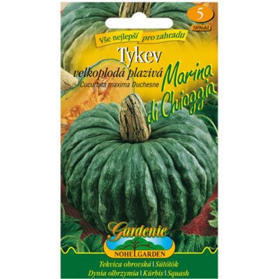 Tykev velkoplodá plazivá MARINA DI CHIOGGIA Nohel Garden – Zboží Dáma