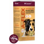 Canami A-Flex +bromelain 500 ml – Zboží Dáma