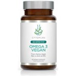 Cytoplan Cytoplan Vegan Omega 3 DHA+EPA 60 kapslí – Hledejceny.cz