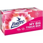 Linteo kapesníky 2-vrstvé 200 ks – Zboží Dáma