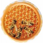 LYSON Víčko na sklenici ND63, Ø82 mm (50 ks) – Hledejceny.cz