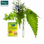 Kneipp 3 bylinky na odvodnění 60 tablet – Zbozi.Blesk.cz