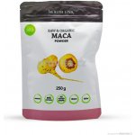 Health Link Bio Maca prášek Raw 250 g – Hledejceny.cz
