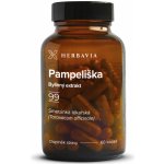 Herbavia Přeslička bylinný extrakt 60 kapslí – Hledejceny.cz