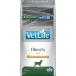 Vet Life Dog Obesity 12 kg – Hledejceny.cz