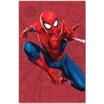 Seagate FireCuda Gaming Spider-Man Special Edition 2TB, STKL2000417 – Hledejceny.cz