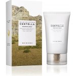 SKIN1004 Skin 1004 MADAGASCAR CENTELLA SOOTHING CREAM 75 ml – Zboží Dáma